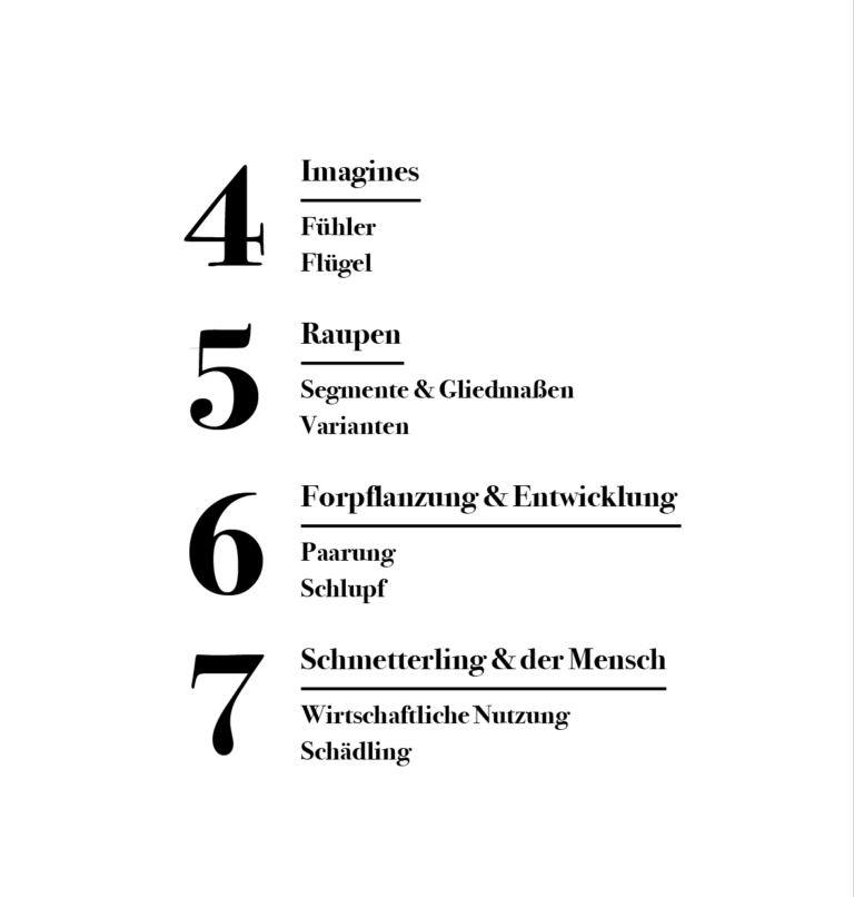 FriesenEl_Schmetterling2