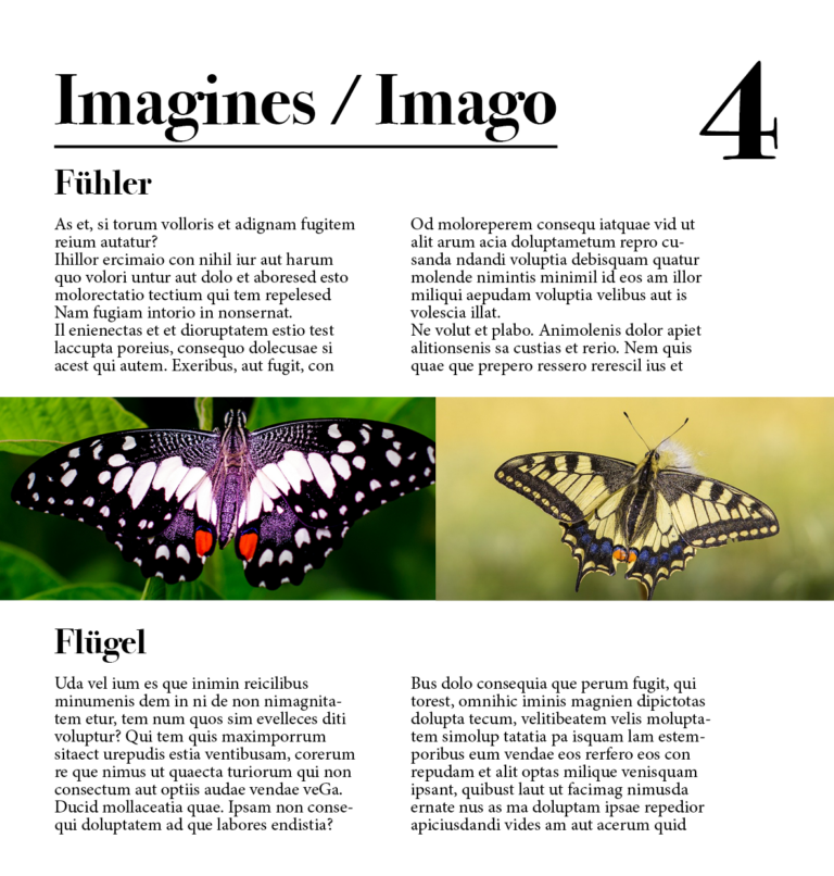 FriesenEl_Schmetterling4