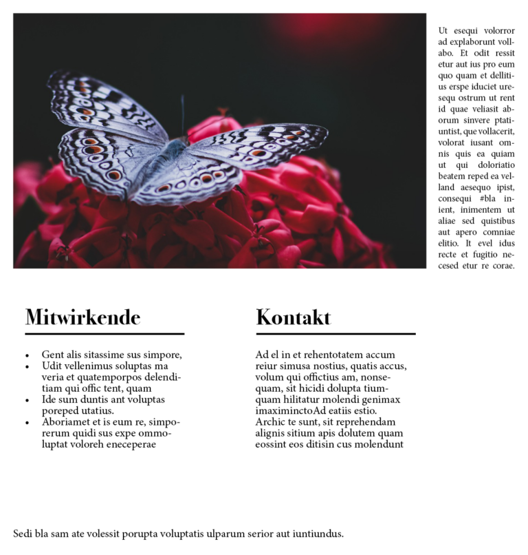 FriesenEl_Schmetterling8